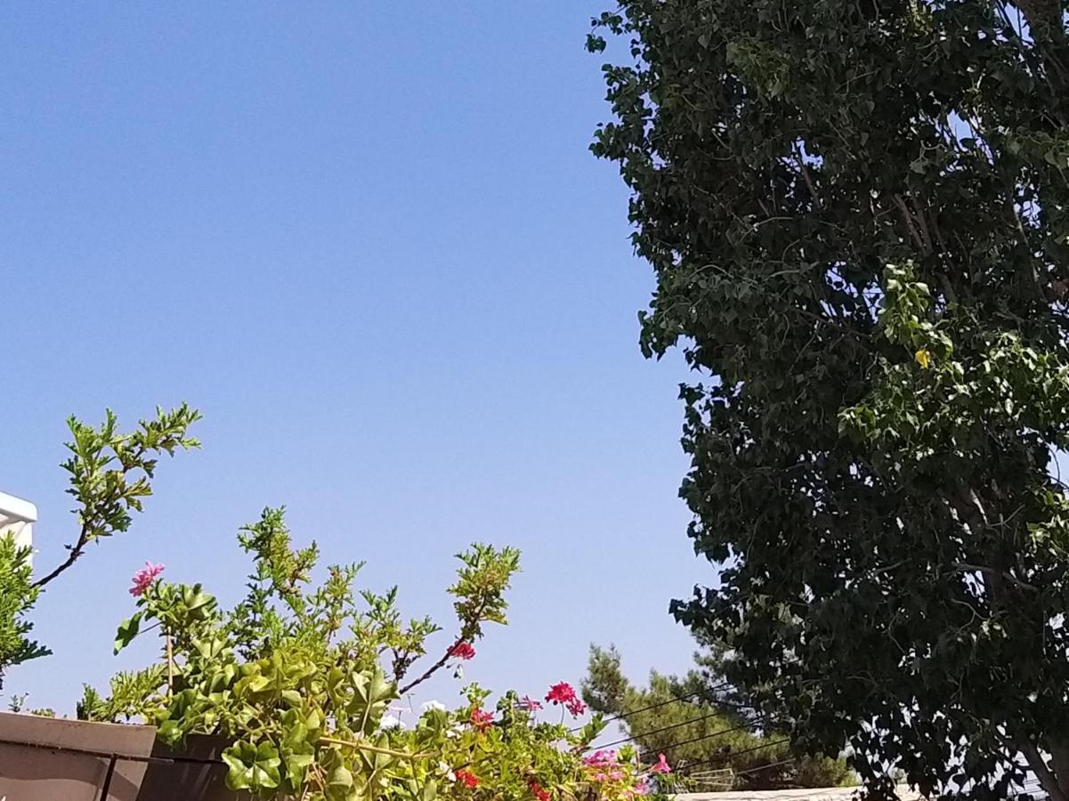 Ble Mavi - Studio For 2 (Adults Only) Όμοδος Εξωτερικό φωτογραφία