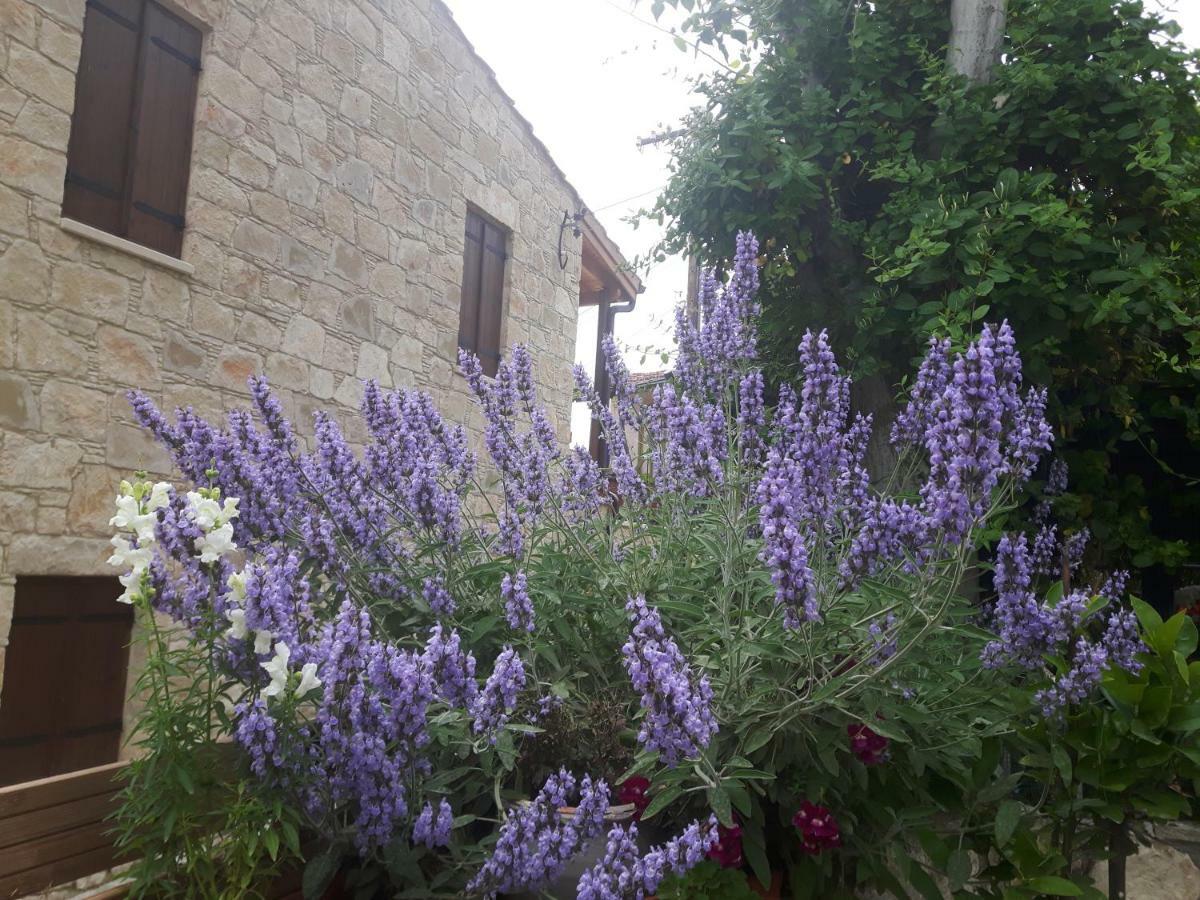 Ble Mavi - Studio For 2 (Adults Only) Όμοδος Εξωτερικό φωτογραφία